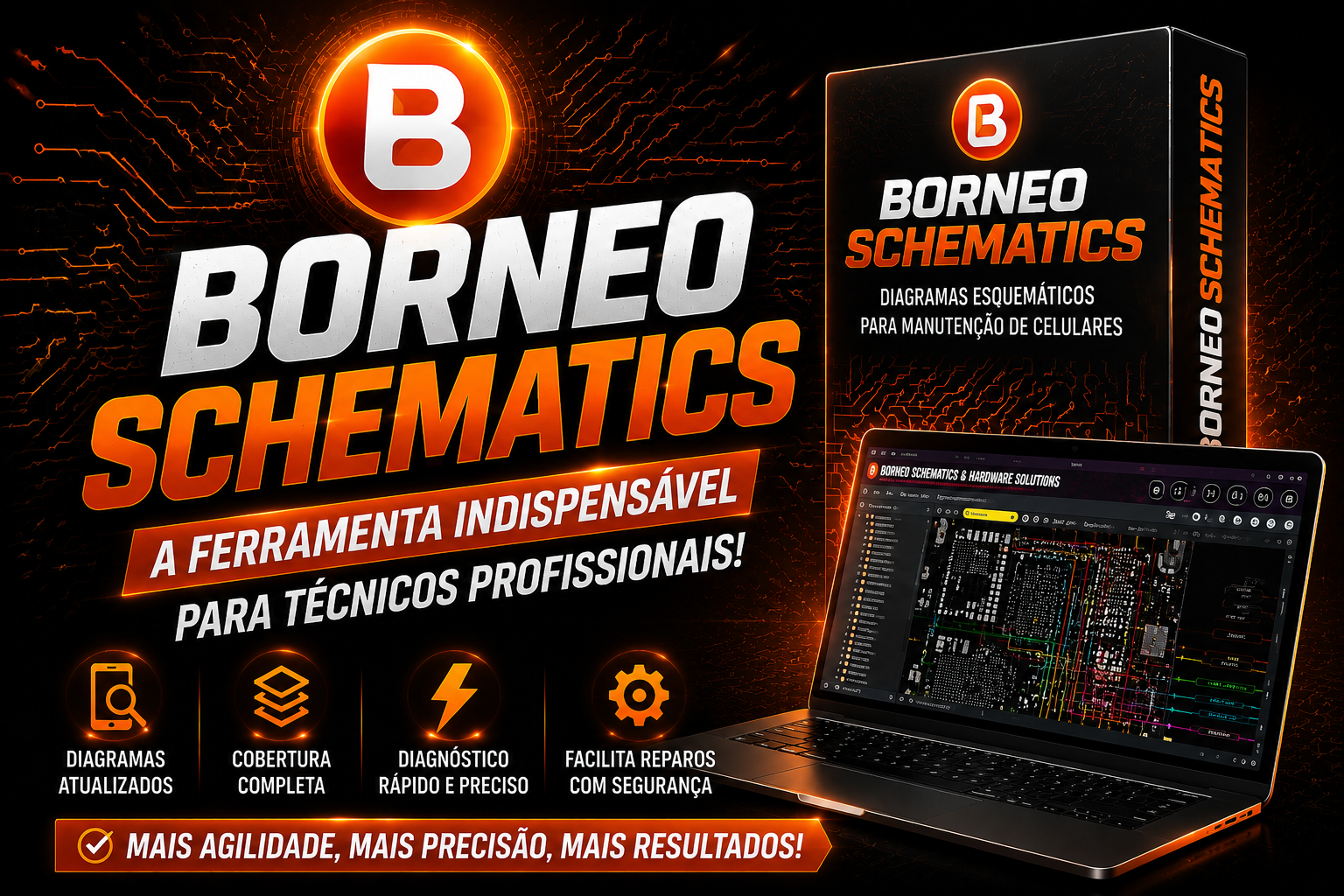 Borneo Schematic Activation - 1 Year 1 User
